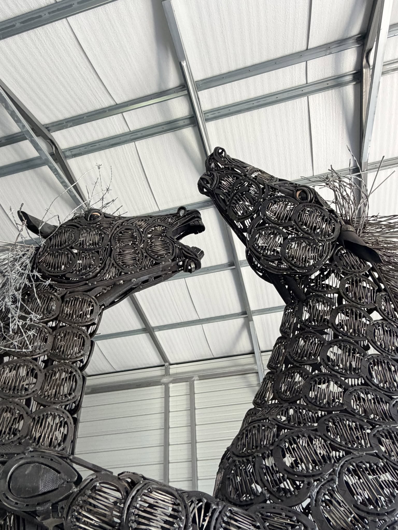 Nigel Fennell Kings of American Display (Close-up of heads)