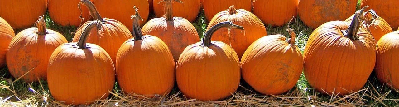Pumpkins