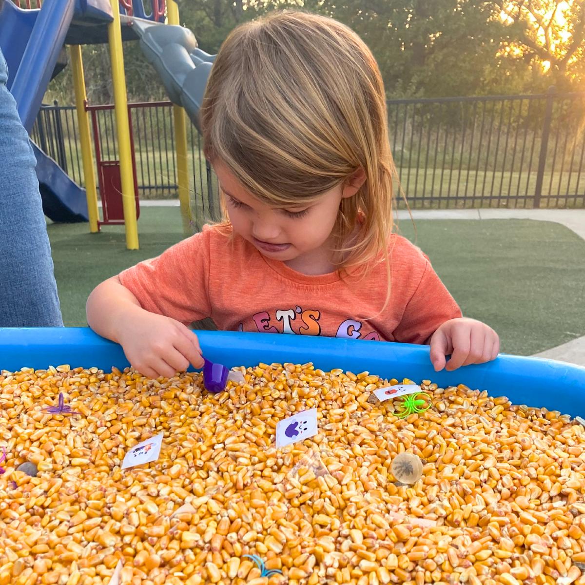 Fall Festival