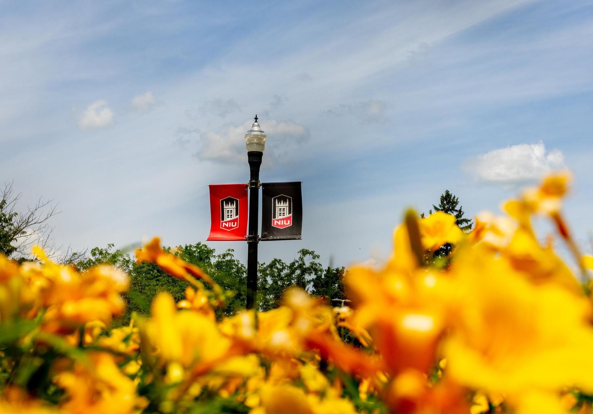 Northern Illinois University Provost Post