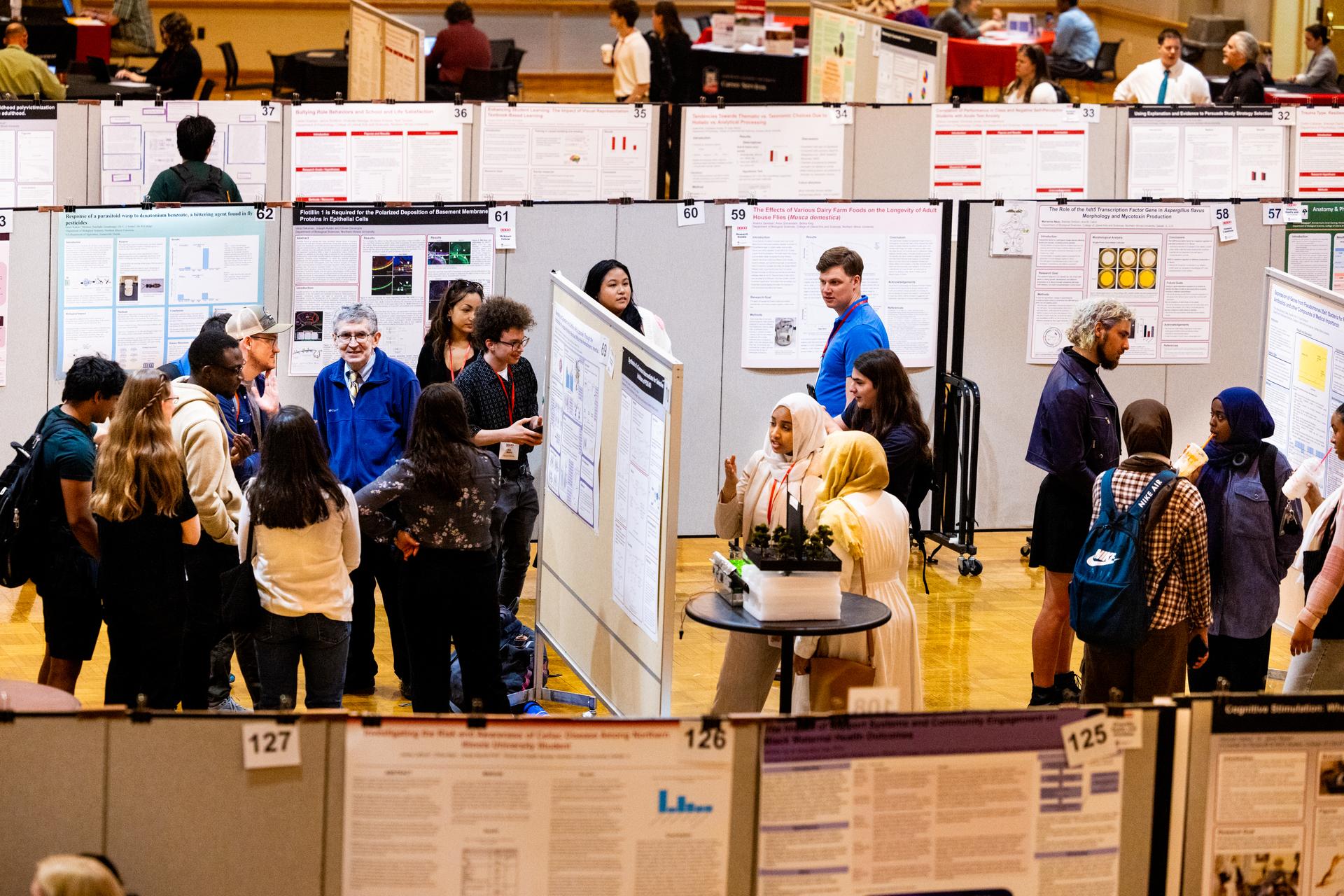 NIU's Annual Well-being Fair