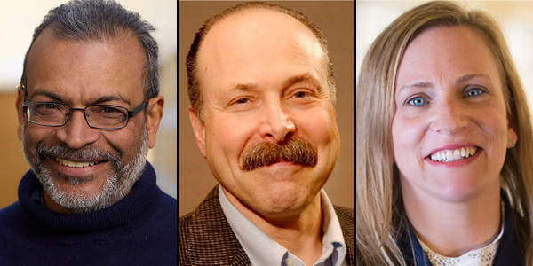 Collage of headshots, from left to right: Arun Agrawal, David Awschalom, and Angela Koehler