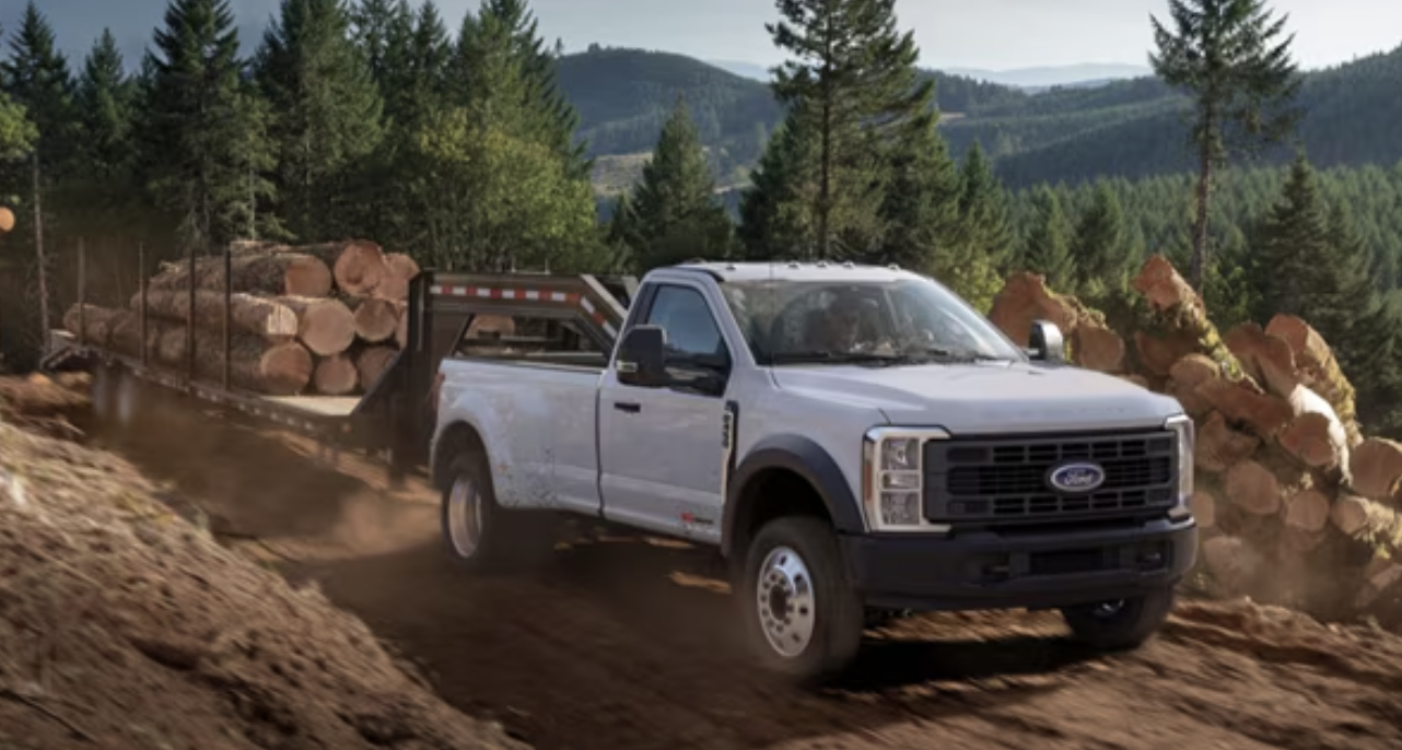 Camiones de trabajo Ford en venta en Riverside