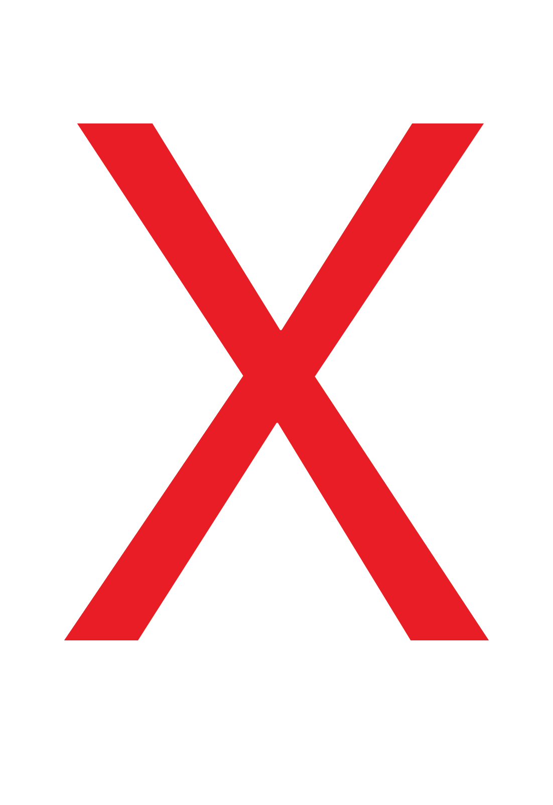 Bags will be inspected Icon