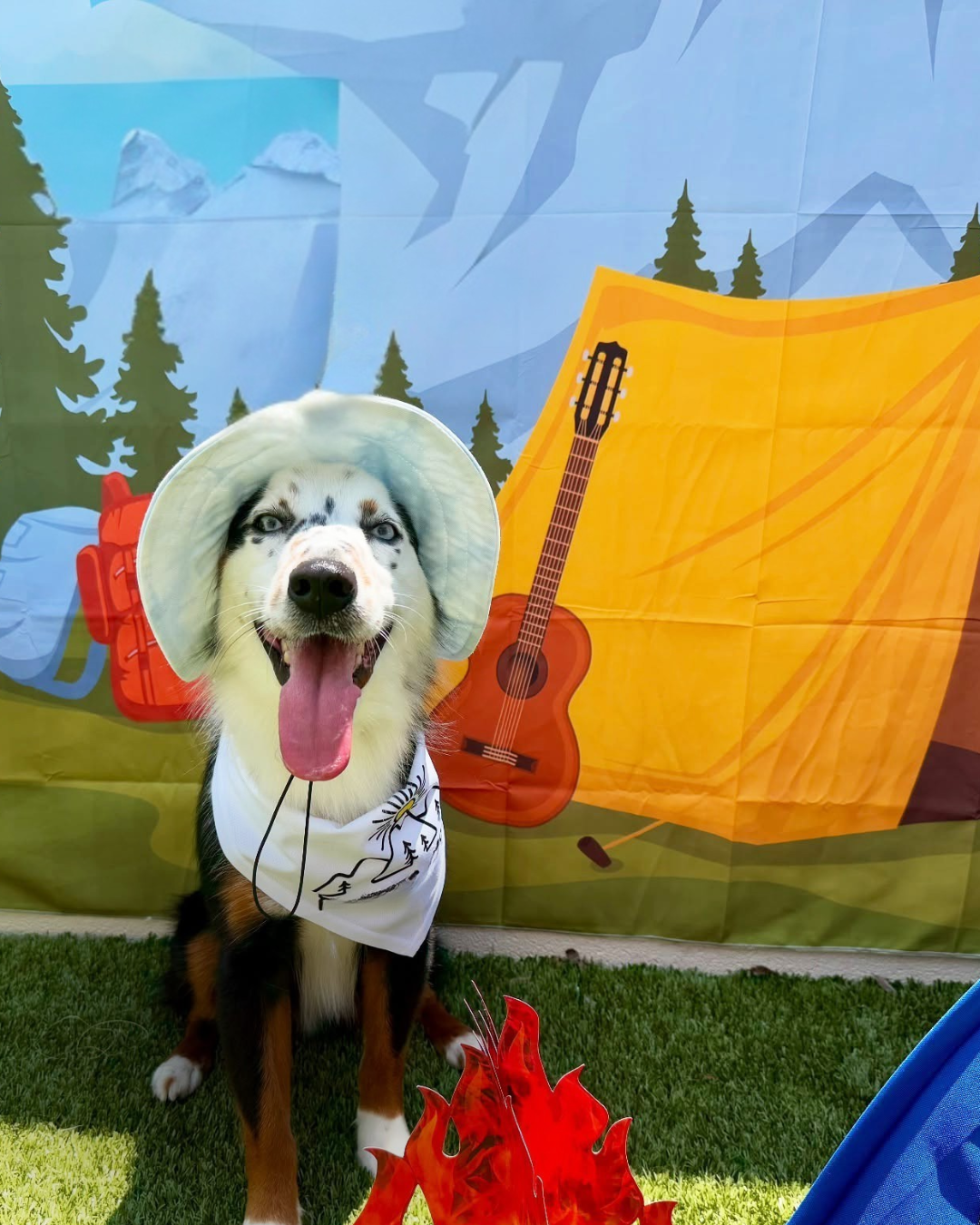 [Image: Camp Photoshoot]