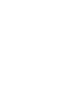 Guide Number