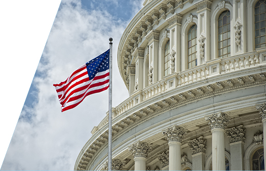 American flag in front of the Capitol building