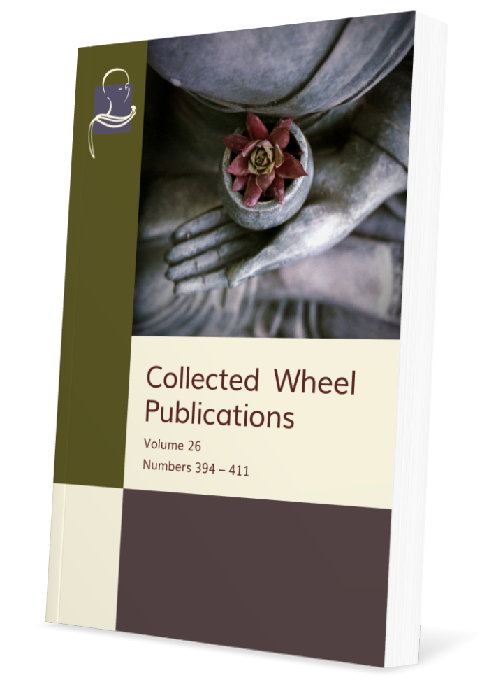 Collected Wheel Publication Volume 26