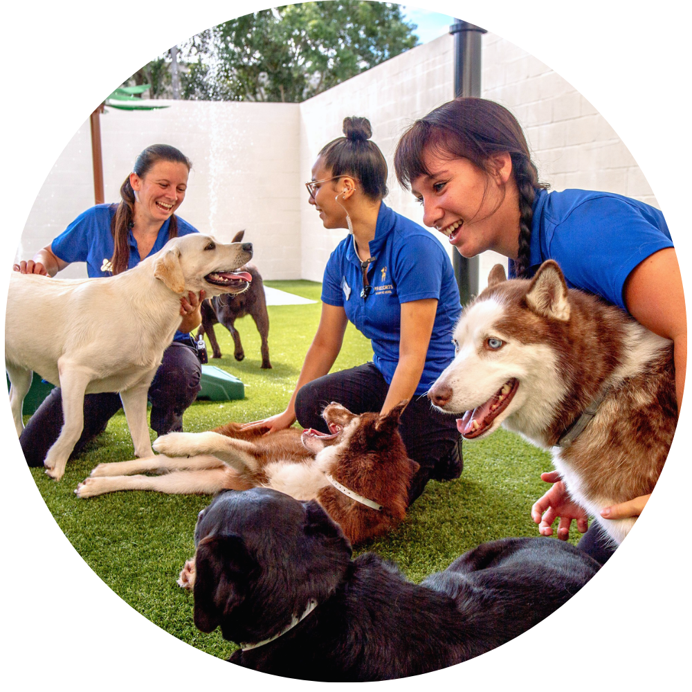 Staff Who Truly Care