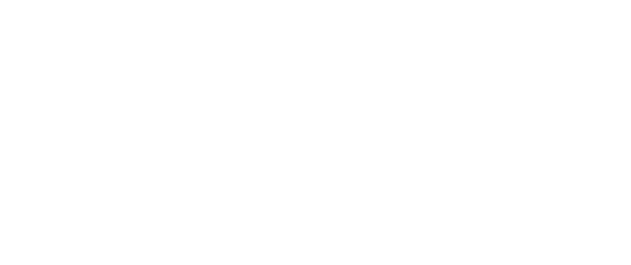 LightHawk Logo LightHawk Logo