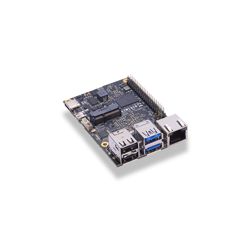 KIWI310