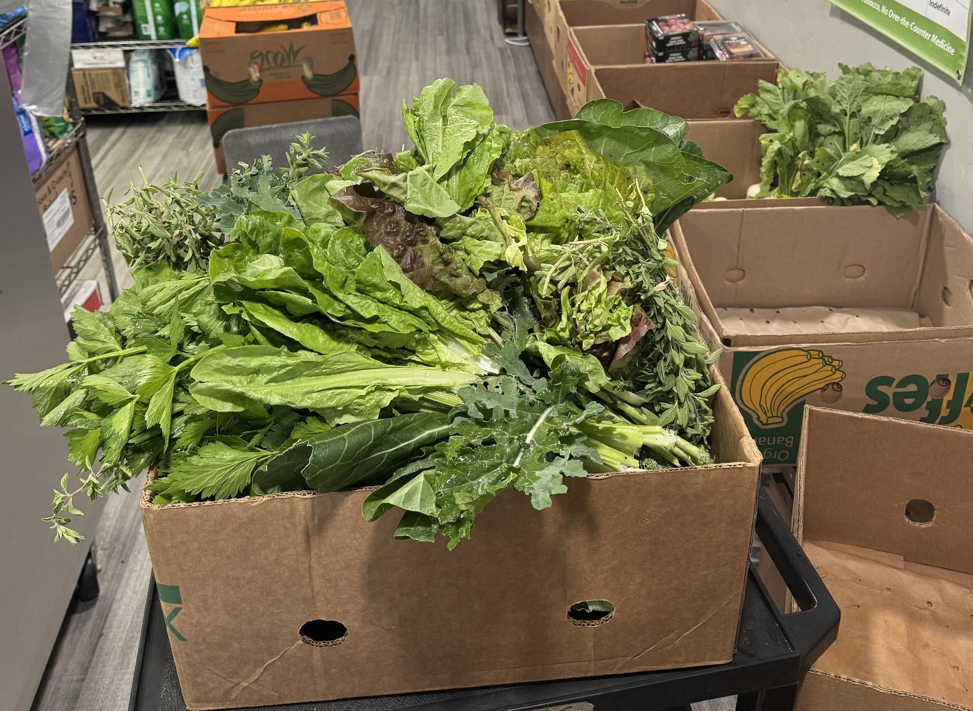A cardboard box filled with fresh lettuce and vegetables. 