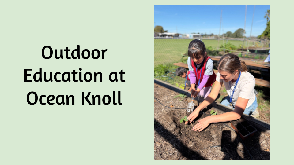 Thumbnail title slide photo for the Ocean Knoll board presentation. It says 