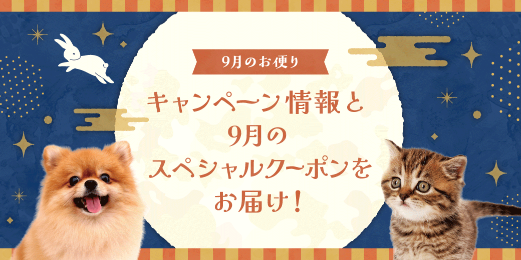 9月のお便り
