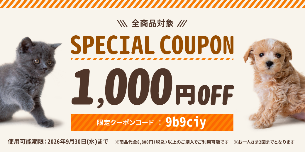 9月限定 1,000円OFFクーポン