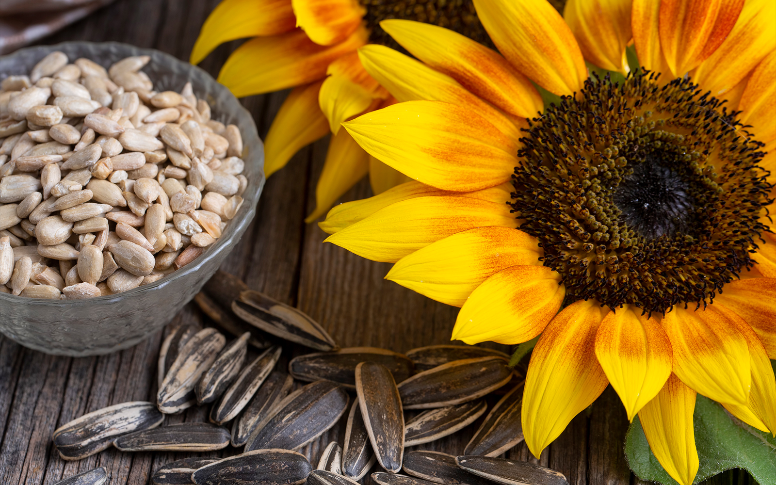 Small Seeds, Big Health Benefits: Why Sunflower Seeds Deserve a Place in Your Diet