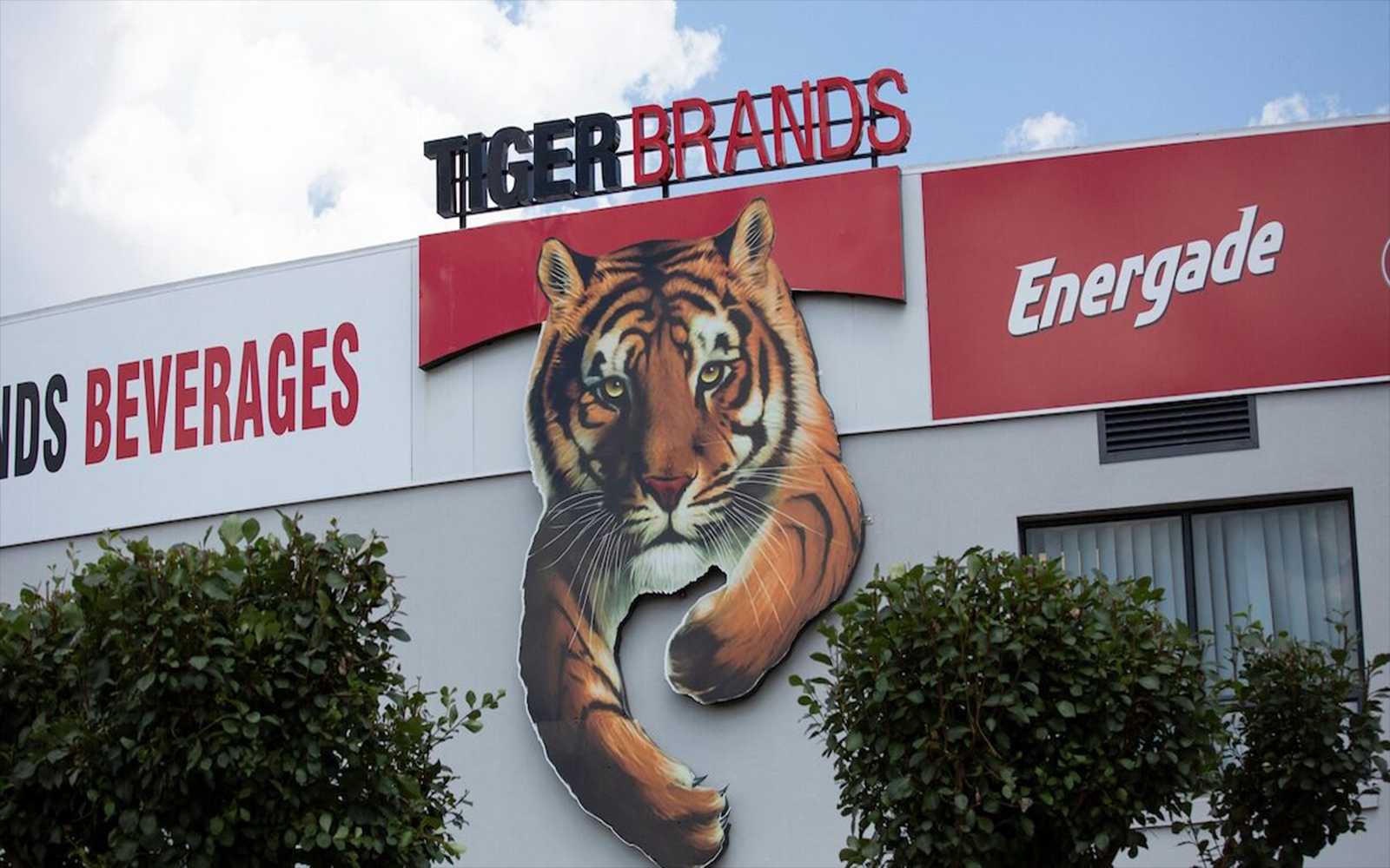 Premier’s JSE Comeback Turns Into a Serious Challenge to Tiger Brands