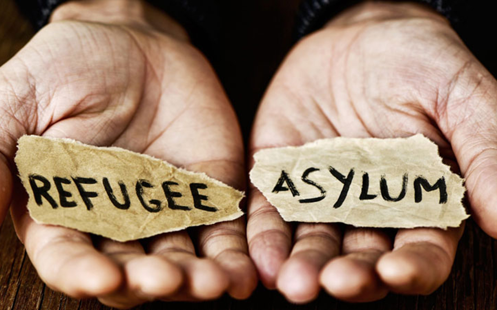 Refugee Appeals Authority Urges Asylum Seekers in Durban to Act Quickly on Pending Appeals