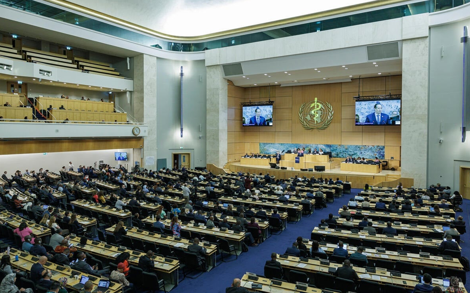WHOs New AMR Plan Takes Aim at the "Silent Pandemic" Threatening Modern Medicine