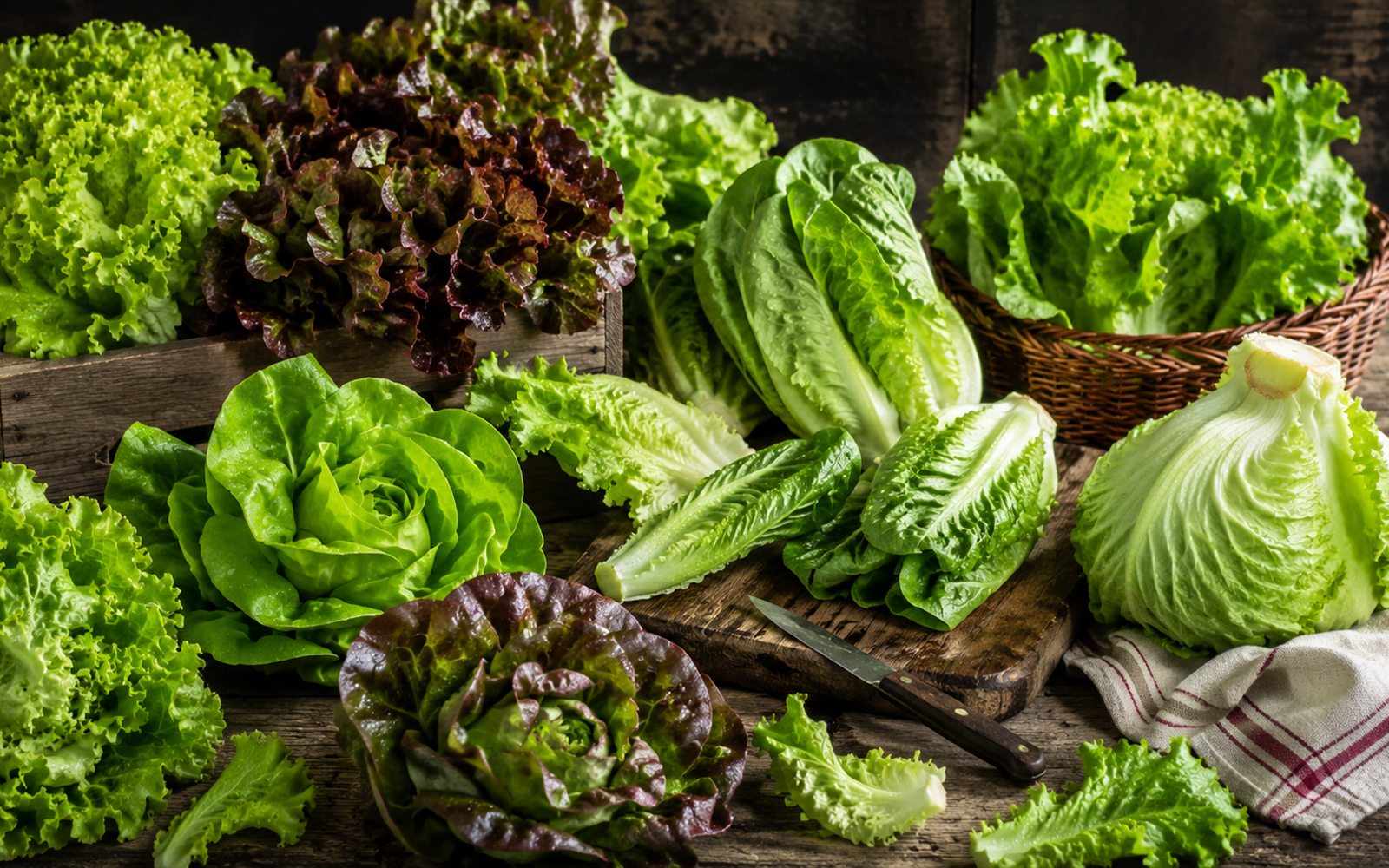 A Light, Hydrating Vegetable With Everyday Health Benefits