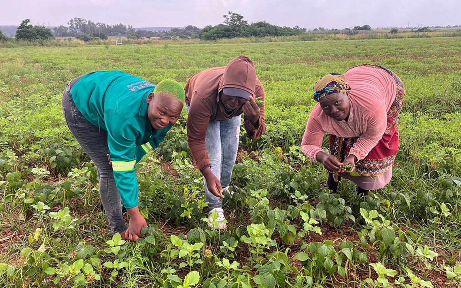 Government Introduces Climate Resilience Measures to Support Farmers