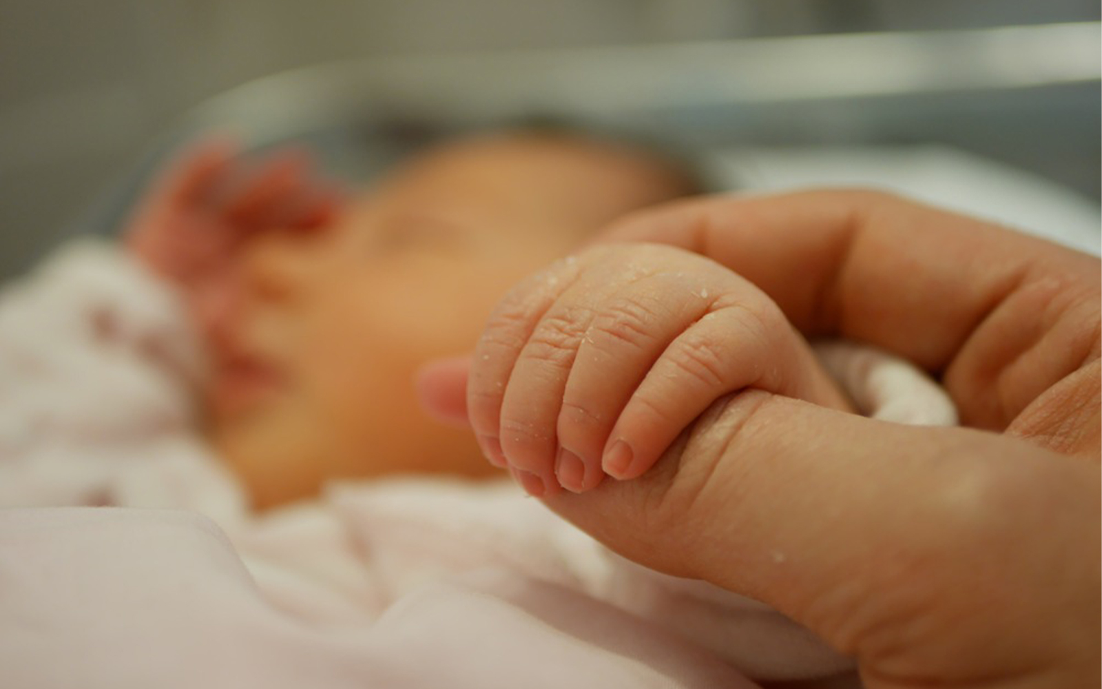 Maternal Antibodies Found to Protect Newborns from Severe E. coli Infection