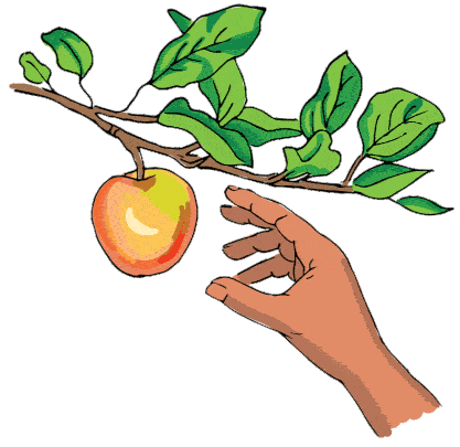 There's nothing like picking a good ol' apple straight from the email branch.
