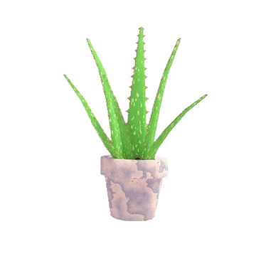 Touch grass. Touch keyboards. But don't touch the spikeys. 