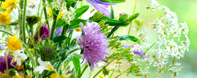 Reminder Illustration