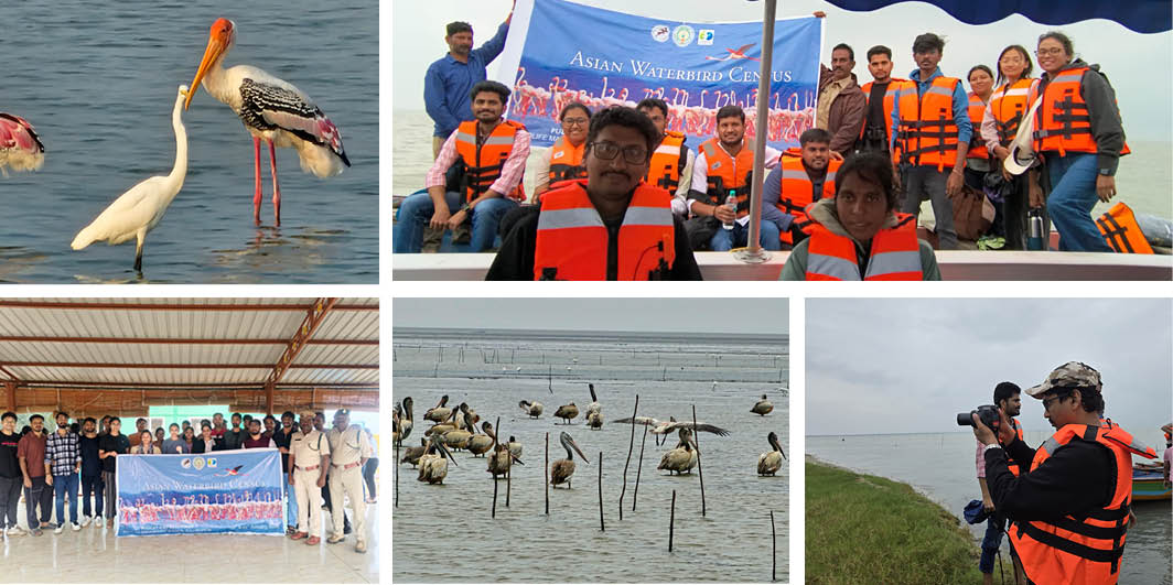 Krea Partners with Johns Hopkins for Global+1 Programme