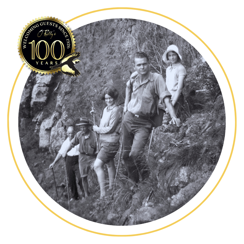 Walk The Historic Stockyard Track