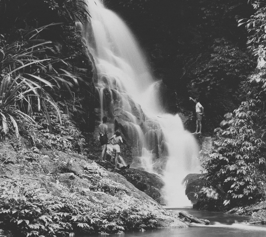O'Reilly's Centenary Historical image of waterfall with O'Reilly's Guests