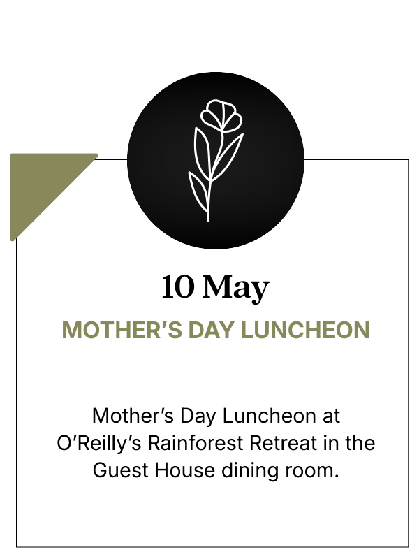 The O'Reilly's Family invites you to join us for a very special Celebration