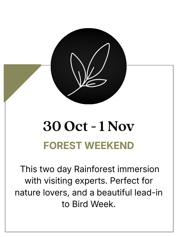 The O'Reilly's Family invites you to join us for a very special Celebration