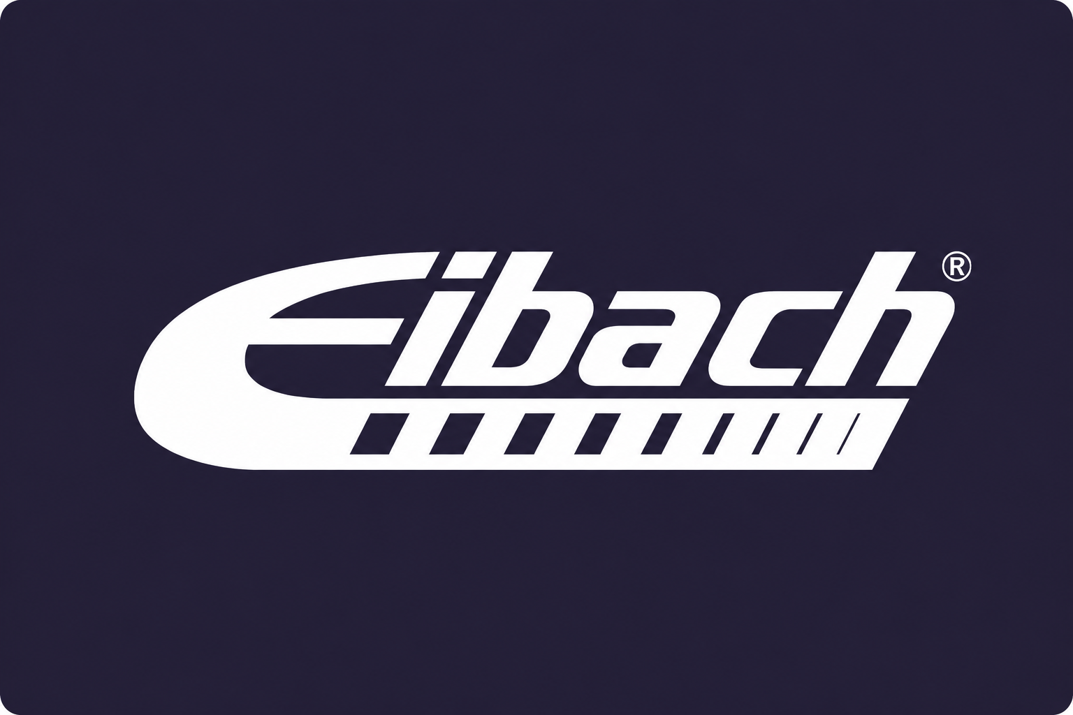 Eibach Suspension Eibach Suspension