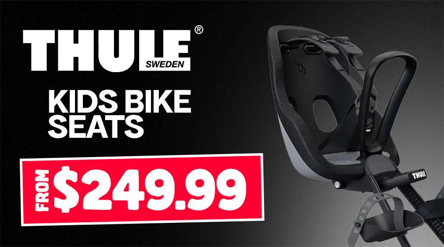 Thule Kids Bike Seat $249
