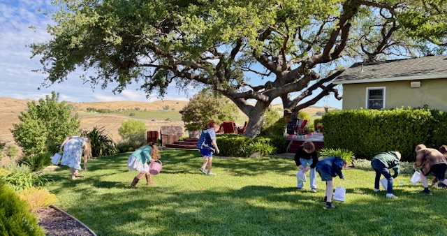 kids searching for Easter eggs