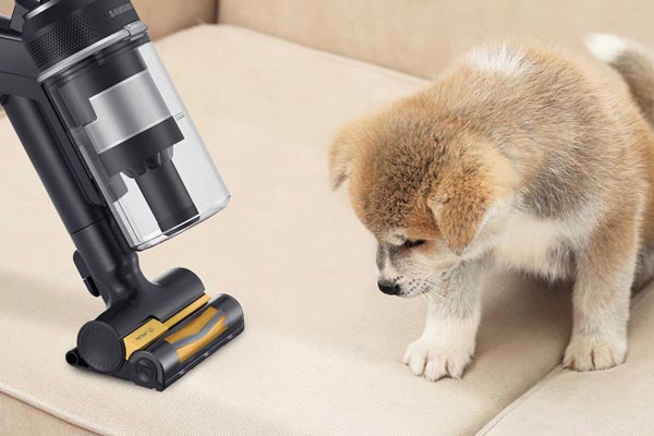 aspirapolvere per peli animali domestici