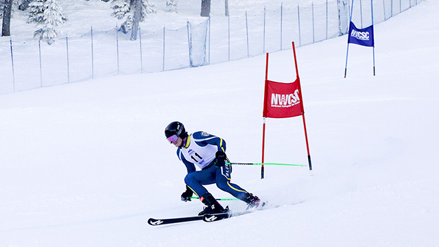 A downhill skier passes blue and red flags on a snowy slope