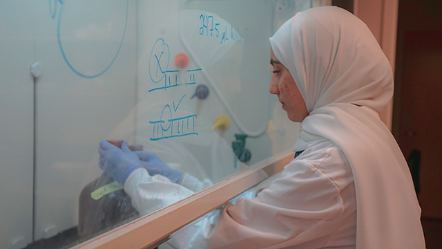 Mas Ra’ed Aldardasawi in a white lab coat and white head scarf, reaching into a closed container surrounded by protective glass