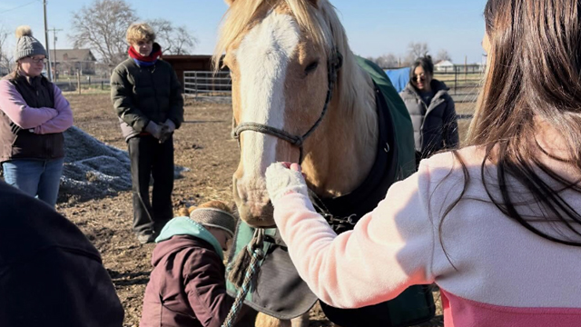 A group of people surrounding a brown and white horse while one person crouches down by its front legs.