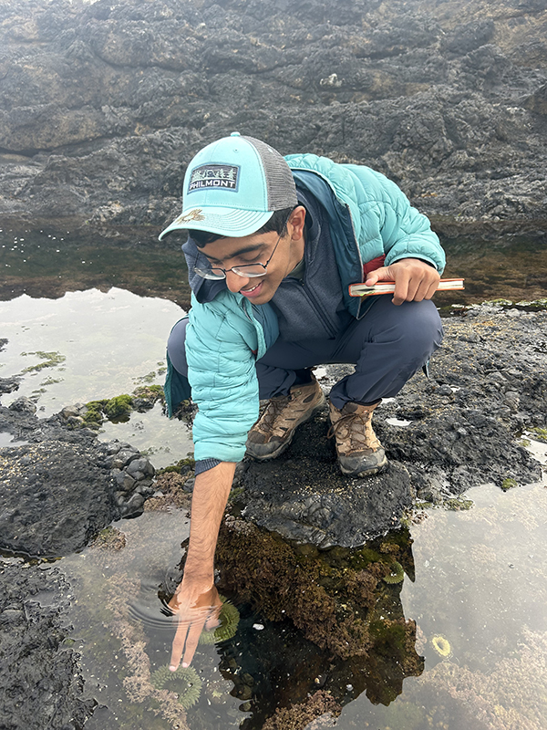Ishaan Swami ’26 explores a tide pool on the Oregon coast.