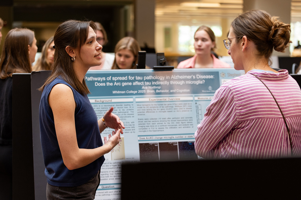 A student talks to a visitor next to a poster display about their research related to Alzheimer’s Disease