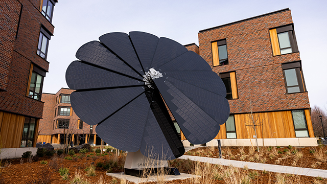 A flower-shaped circle of black solar panels affixed to a white base with brick buildings visible in the background