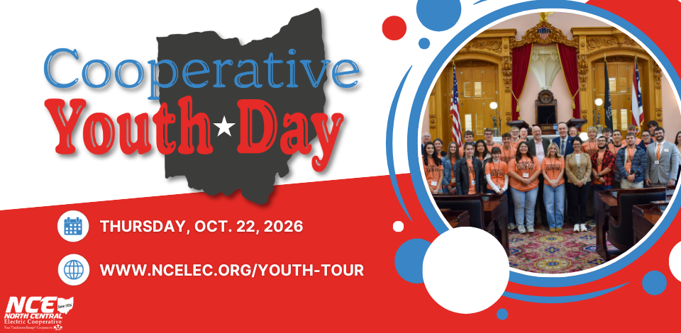 NCE Youth Day graphic