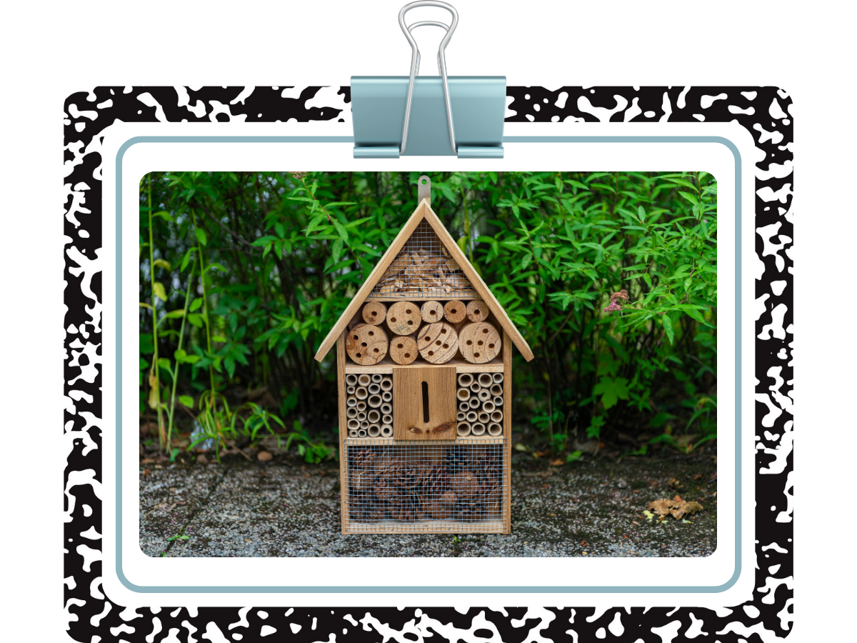 Build an Insect Hotel