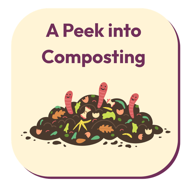 A Peek into Composting A Peek into Composting