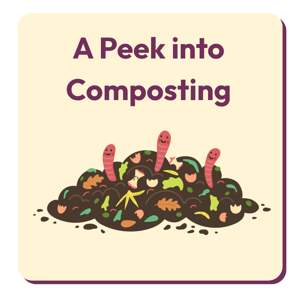 A Peek into Composting A Peek into Composting