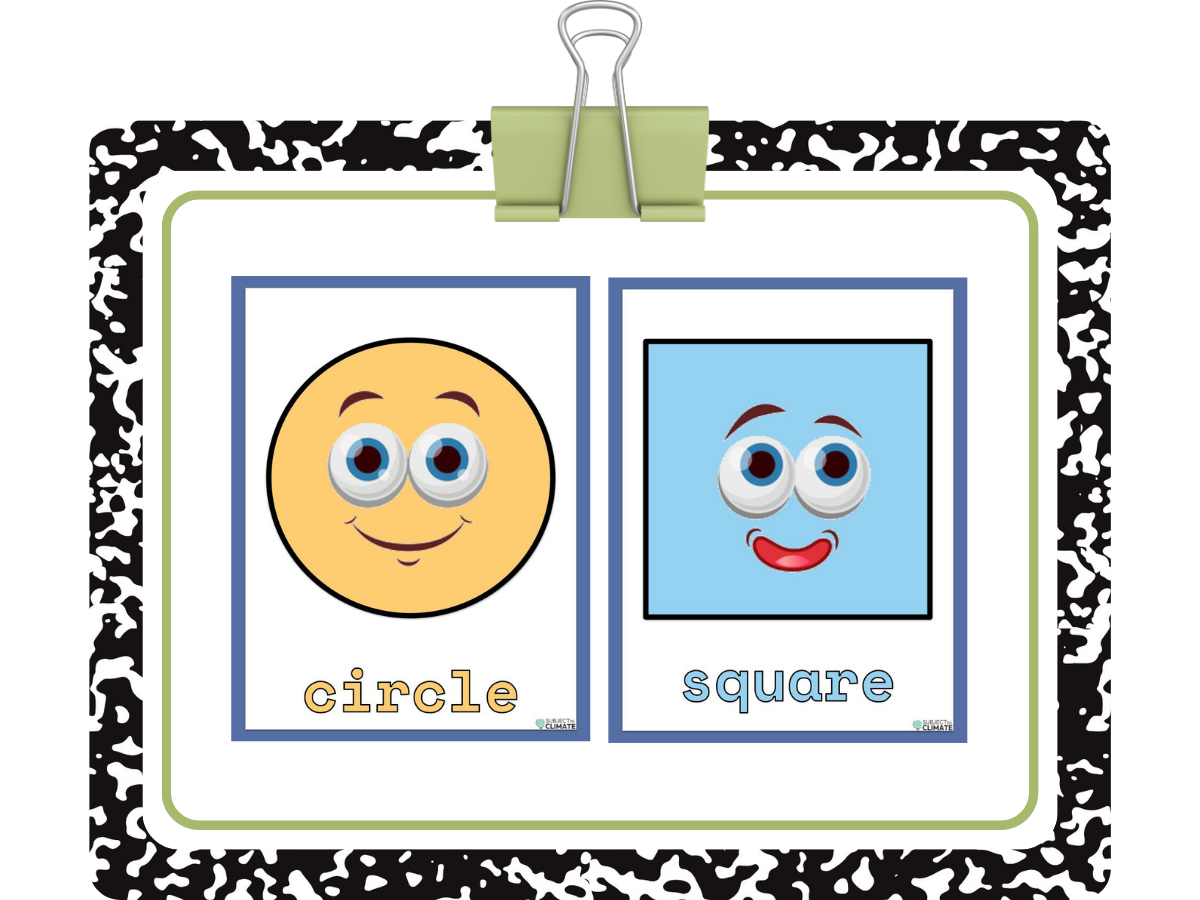 Shapes in nature: Geometry activity 
