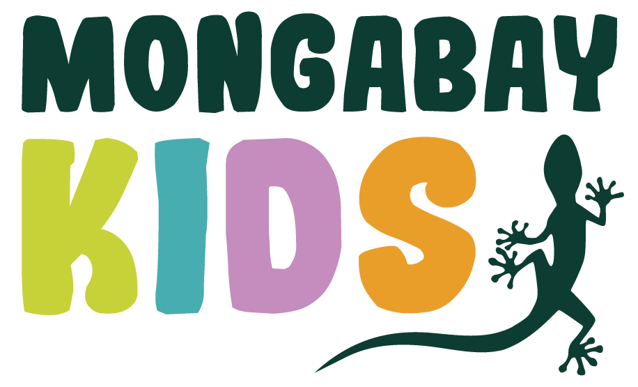 Mongabay Kids